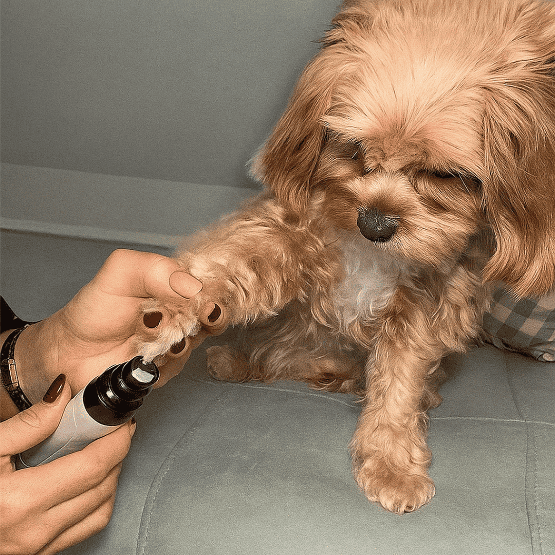 Happihound™ Precision Grooming Duo