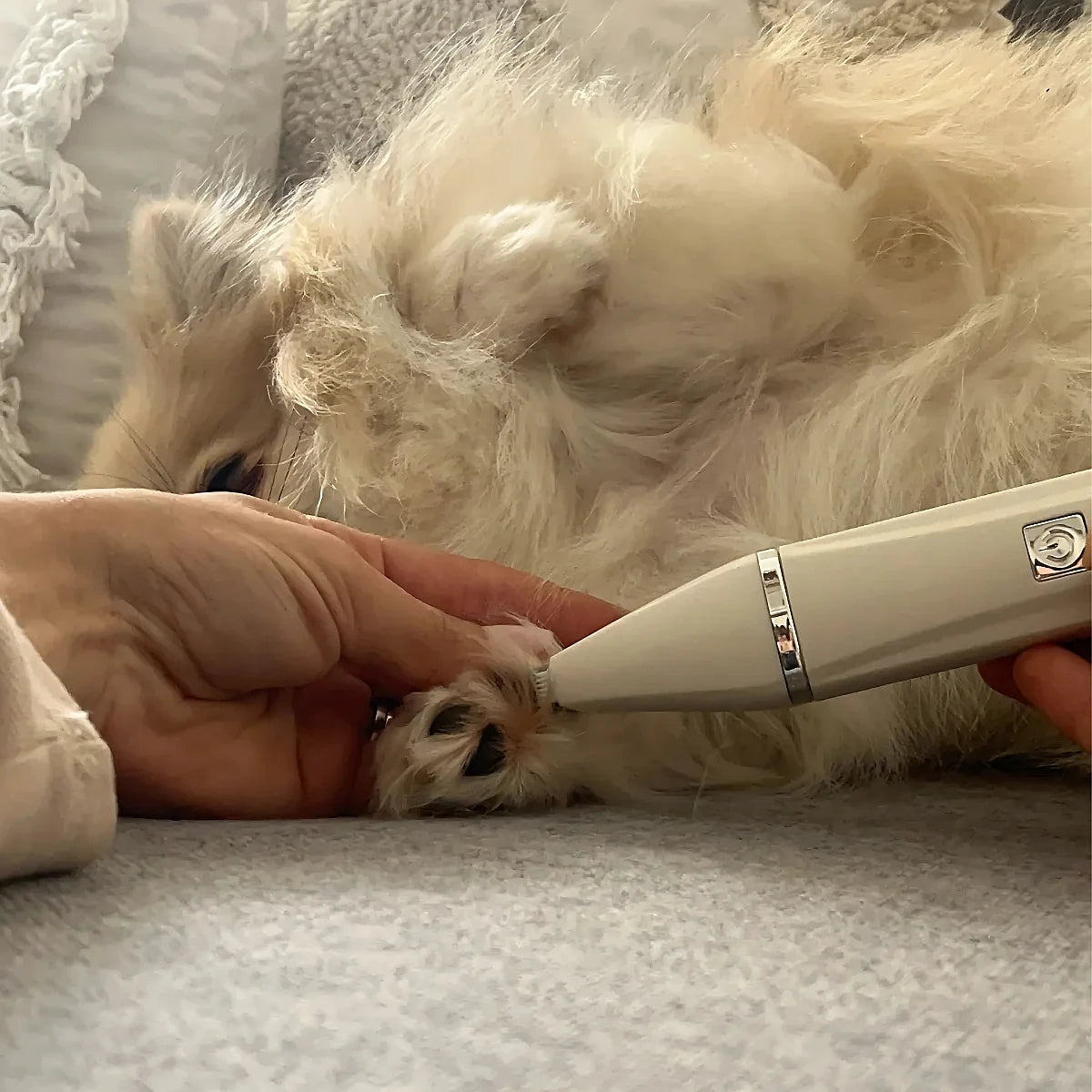 Happihound™ 4-in-1 Pet Grooming Kit
