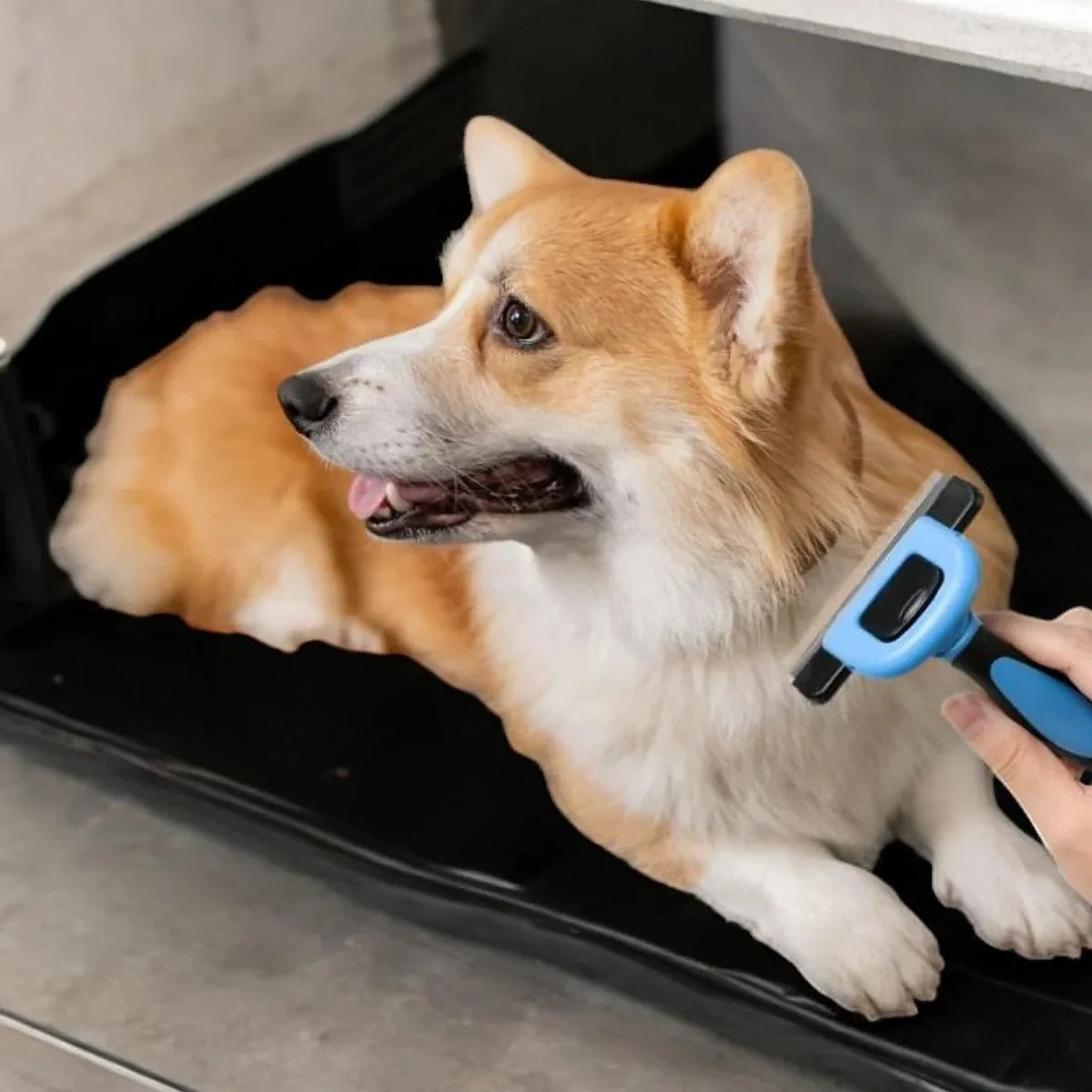 Happihound™ Pet Deshedding Tool