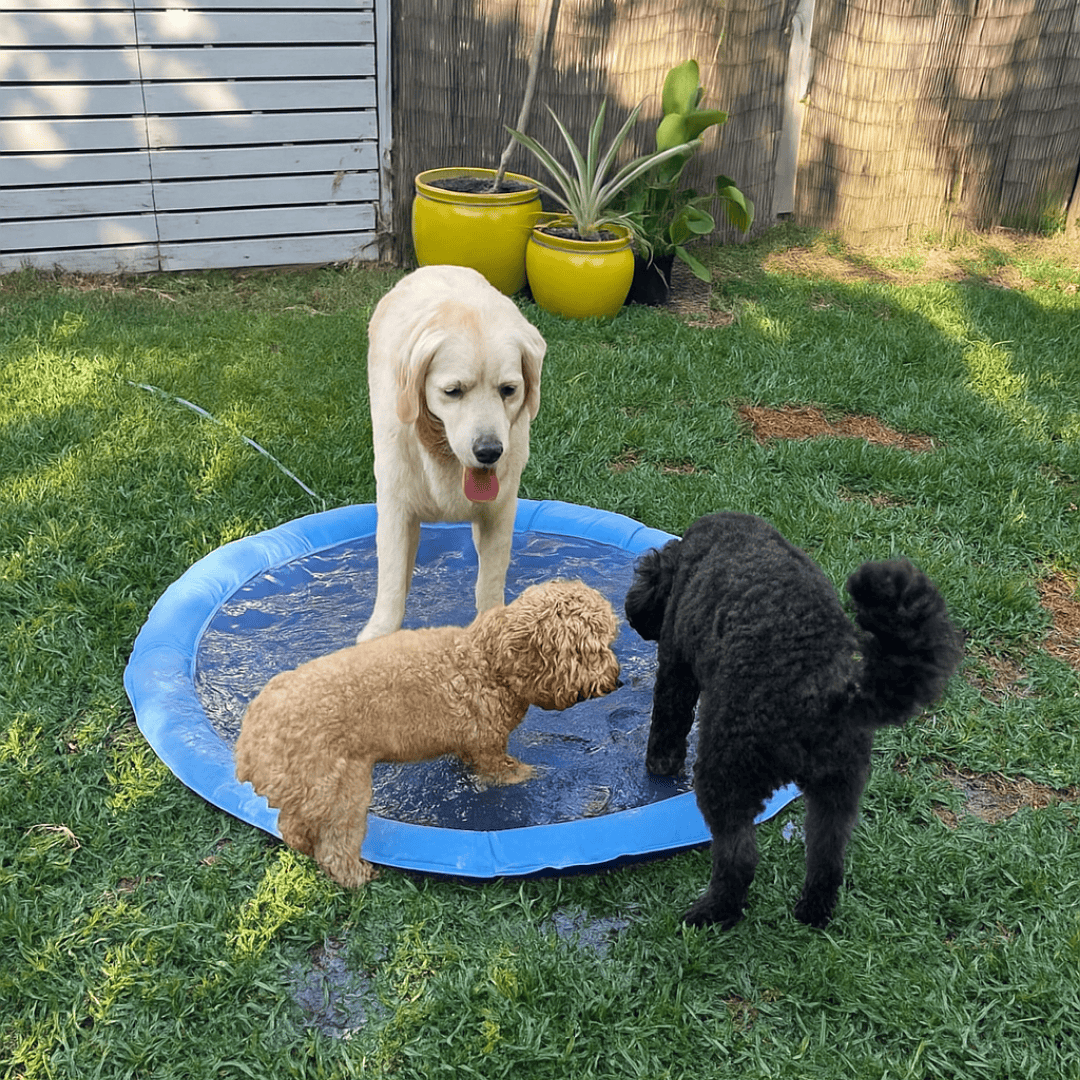 Happihound™ Sprinkler Splash Pad