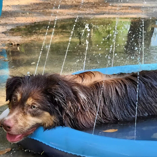 Happihound™ Sprinkler Splash Pad