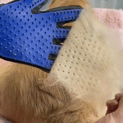 Happihound™ De-Shed Massage Gloves