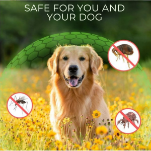 Happihound™ Anti Flea and Tick Adjustable Dog Collar