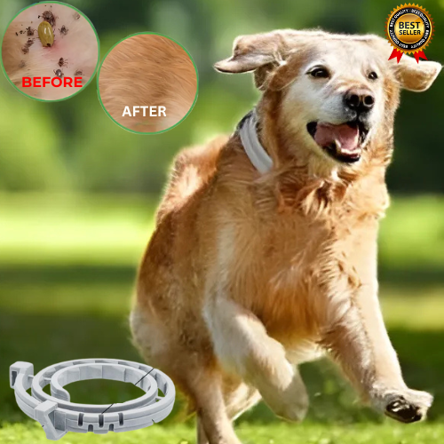 Happihound™ Anti Flea and Tick Adjustable Dog Collar