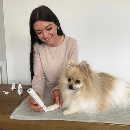 Happihound™ 4-in-1 Pet Grooming Kit USB