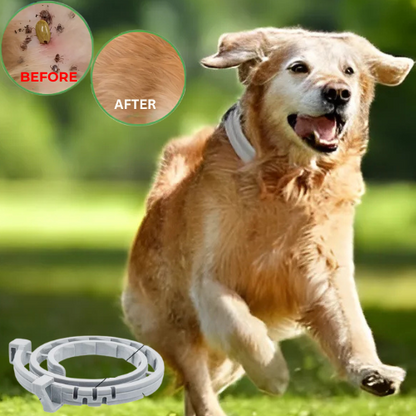 Happihound™ Anti Flea and Tick Adjustable Dog Collar