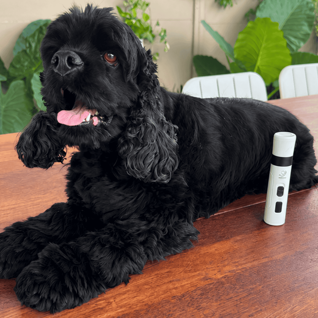 Happihound™ Nail Trim Pro