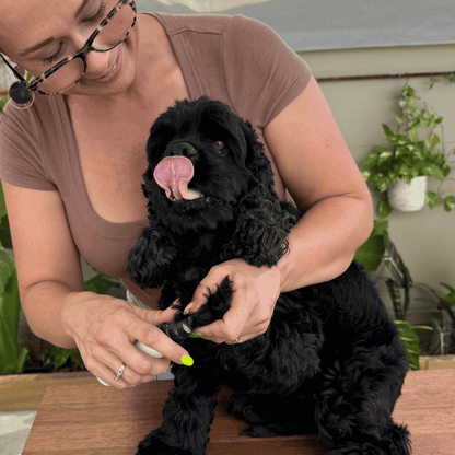 Happihound™ Nail Trim Pro
