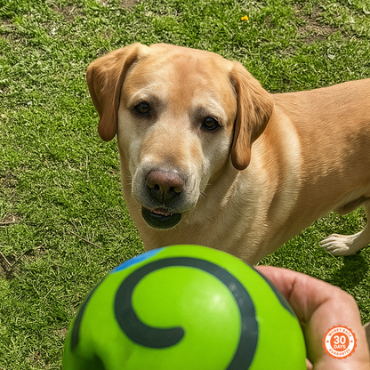 Happihound™ Pup Squeak Ball