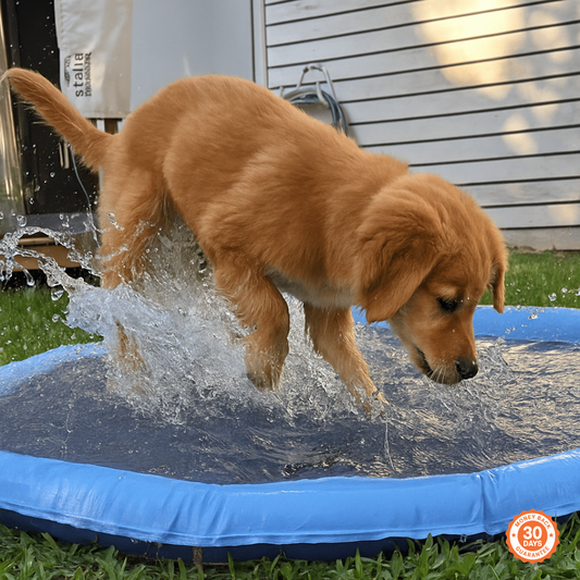 Happihound™ Sprinkler Splash Pad