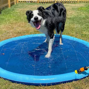 Happihound™ Sprinkler Splash Pad