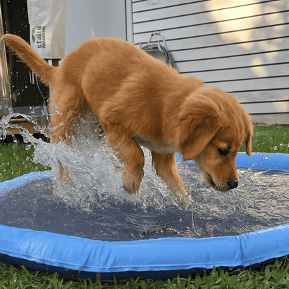 Happihound™ Sprinkler Splash Pad