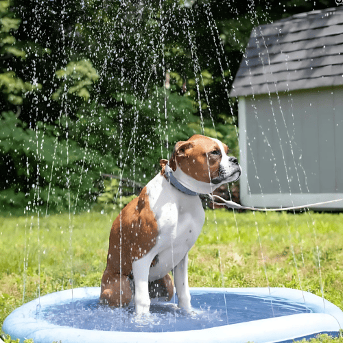 Happihound™ Sprinkler Splash Pad