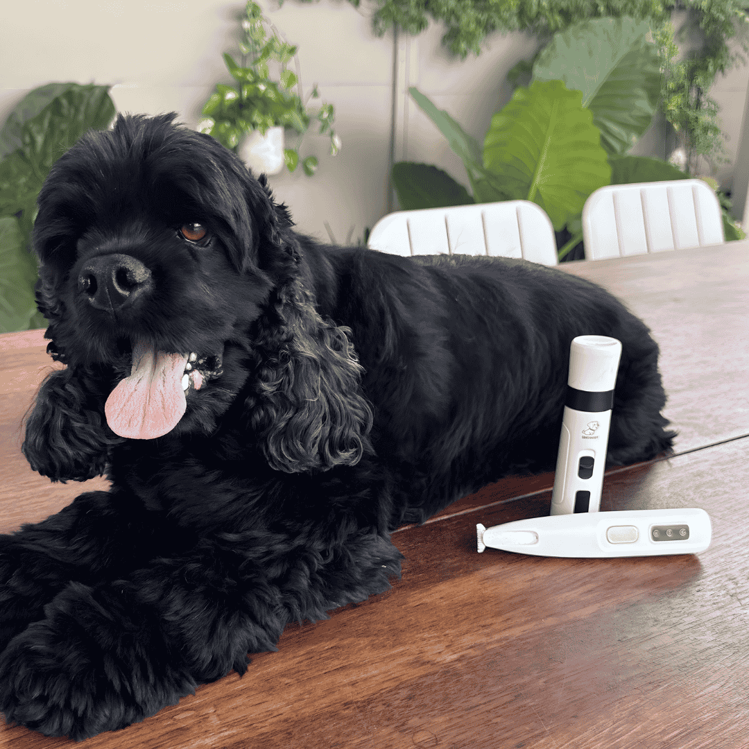 Happihound™ Complete Paw Care Duo